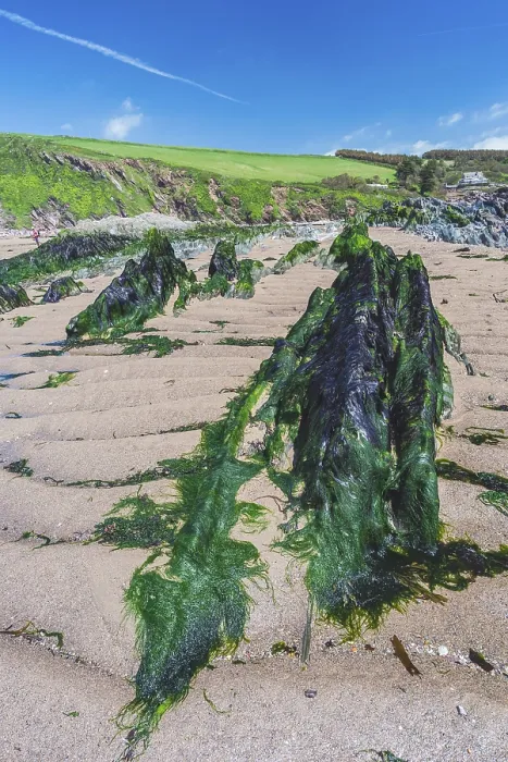 Framed Print : Bantham Beach Cliffs Print, Devon Coastline Framed Print : Bantham Beach Cliffs Print, Devon Coastline