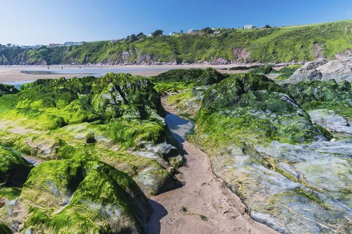 Framed Print : Bantham Beach Cliffs Print, Kingsbridge, Devon, England Framed Print : Bantham Beach Cliffs Print, Kingsbridge, Devon, England