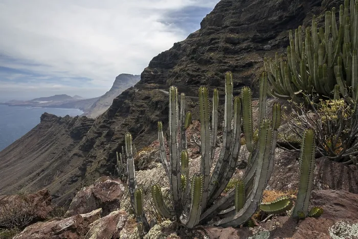 Framed Print : Gran Canaria Steep Coast Print Framed Print : Gran Canaria Steep Coast Print