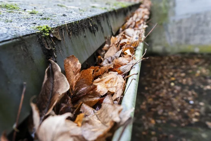 Framed Print : Autumn Leaves Clog Gutter Print, Wuppertal, Germany Framed Print : Autumn Leaves Clog Gutter Print, Wuppertal, Germany
