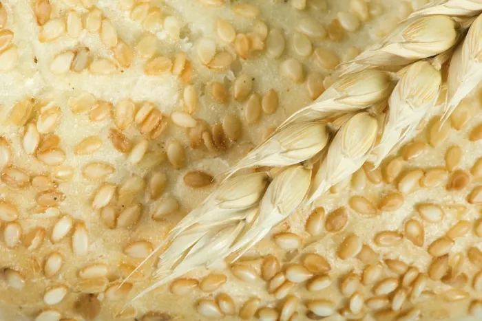 Framed Print : Close-up Print of Bread and Wheat Cereal Crops Framed Print : Close-up Print of Bread and Wheat Cereal Crops