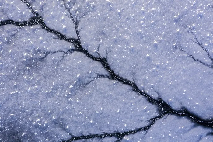 Framed Print : Close Up Print: Freezing Lake Patterns Framed Print : Close Up Print: Freezing Lake Patterns