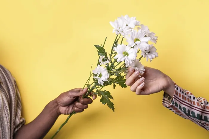 Framed Print : Multiethnic Hands Holding a White Flower Print Framed Print : Multiethnic Hands Holding a White Flower Print