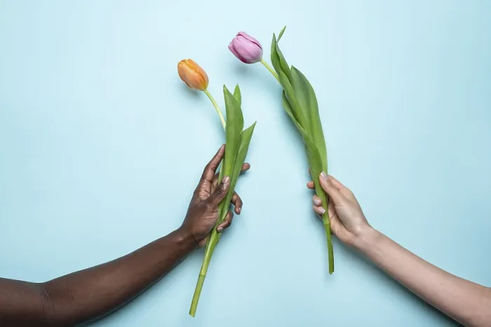 Framed Print : Unity in Diversity Print: Multiethnic Hands Holding Tulips Framed Print : Unity in Diversity Print: Multiethnic Hands Holding Tulips