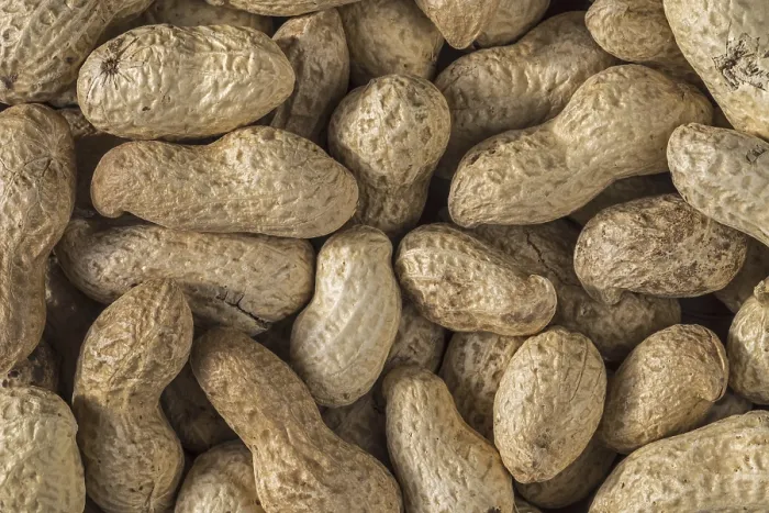 Framed Print : Close-up of Peanuts, Groundnuts Print Framed Print : Close-up of Peanuts, Groundnuts Print