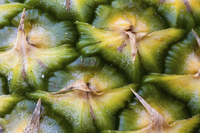 Framed Print : Close-up of a pineapple Print Framed Print : Close-up of a pineapple Print