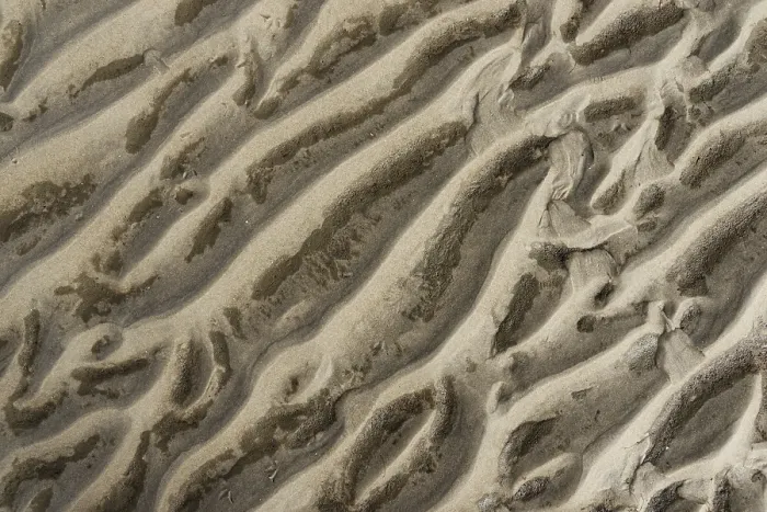 Framed Print : Close-up of a rib structure on a beach Print, Langeoog, Germany Framed Print : Close-up of a rib structure on a beach Print, Langeoog, Germany