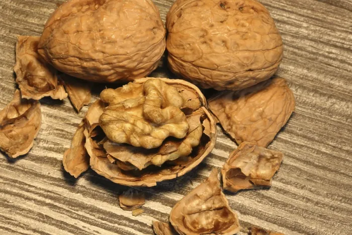 Framed Print : Close-up of walnuts on the table Print Framed Print : Close-up of walnuts on the table Print