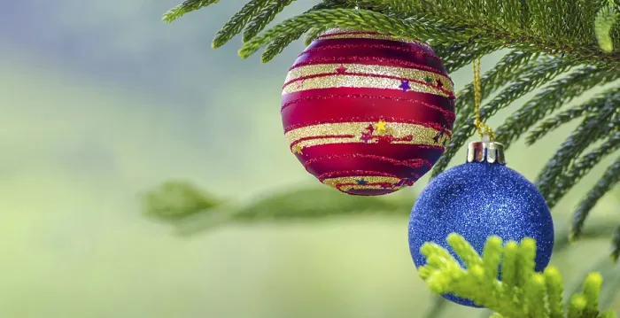 Framed Print : Close-up Print of Christmas Balls on Pine Tree Framed Print : Close-up Print of Christmas Balls on Pine Tree