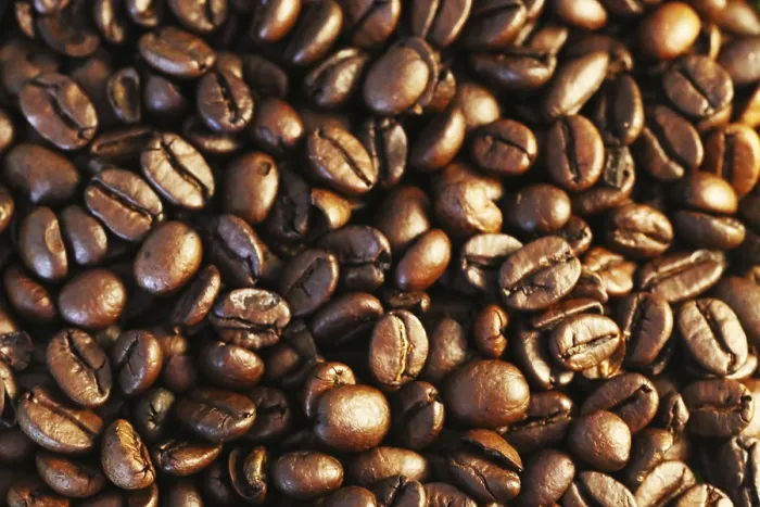 Framed Print : Close-up Coffee Bean Print Framed Print : Close-up Coffee Bean Print