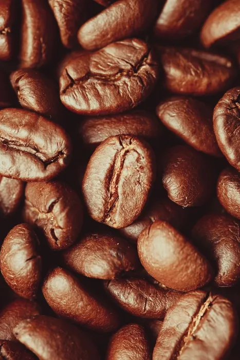 Framed Print : Close-up View of Roasted Coffee Beans Print Framed Print : Close-up View of Roasted Coffee Beans Print