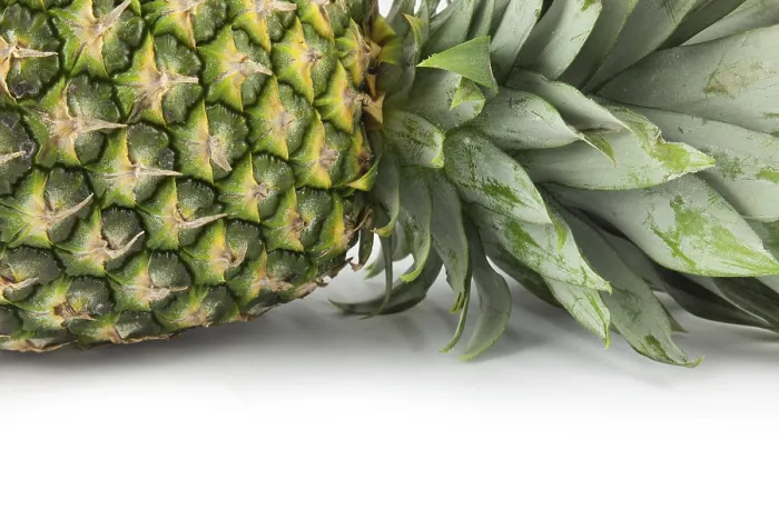 Framed Print : Closeup of a Lying Pineapple Print Framed Print : Closeup of a Lying Pineapple Print