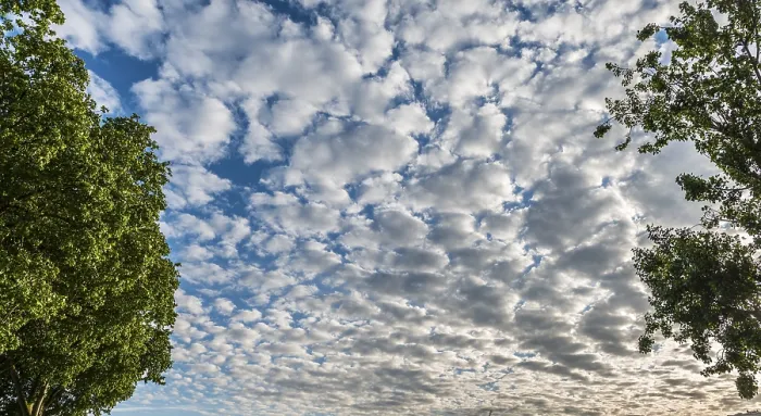Framed Print : Cloud Cover, Blue Sky Print Framed Print : Cloud Cover, Blue Sky Print