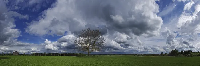 Framed Print : Cloud Formations with Tree Print