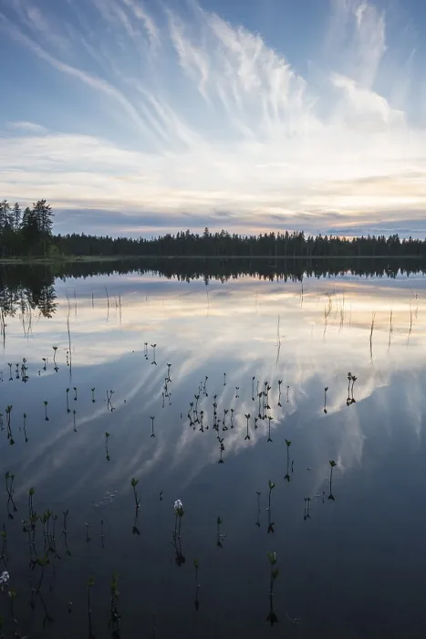 Framed Print : Cloud Reflection Print, Norrbotten, Lapland Sweden 2017