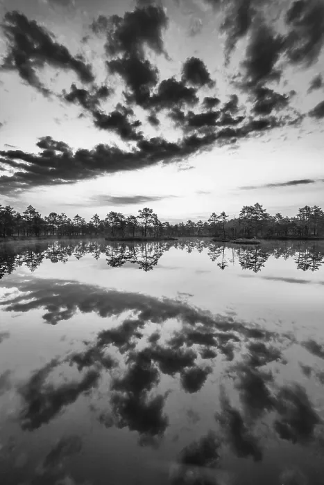 Framed Print : Cloud Reflection in a Moor Lake Print, Sweden 2018 Framed Print : Cloud Reflection in a Moor Lake Print, Sweden 2018