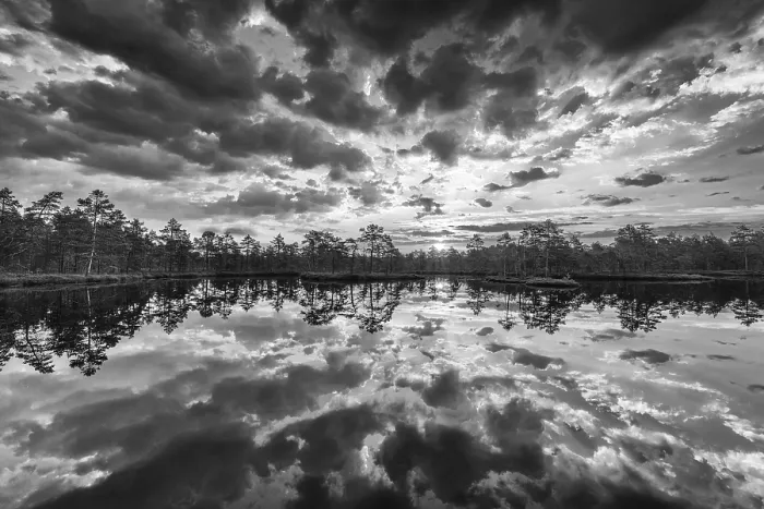 Framed Print : Cloud Reflection Print, Knuthojdsmossen Nature Reserve, Sweden Framed Print : Cloud Reflection Print, Knuthojdsmossen Nature Reserve, Sweden
