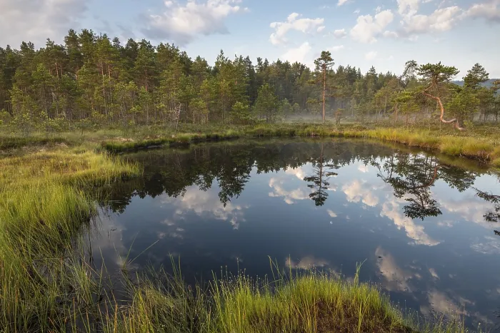 Framed Print : Cloud reflection in a moor lake Print, Sweden 2018 Framed Print : Cloud reflection in a moor lake Print, Sweden 2018