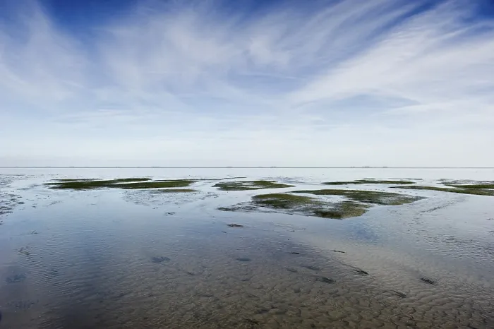 Framed Print : Cloud reflection in the mudflats print, Wyk, Germany Framed Print : Cloud reflection in the mudflats print, Wyk, Germany