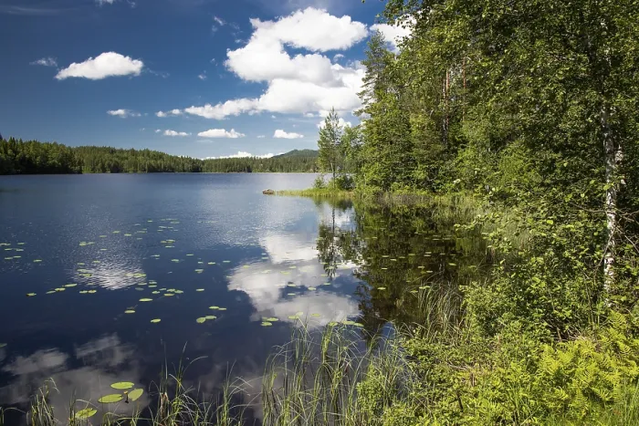 Framed Print : Norway Forest Lake Reflection Print Framed Print : Norway Forest Lake Reflection Print