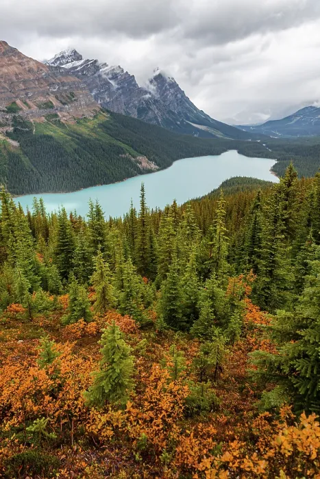 Framed Print : Clouds Hanging Over Peyto Lake Print, Banff National Park Framed Print : Clouds Hanging Over Peyto Lake Print, Banff National Park
