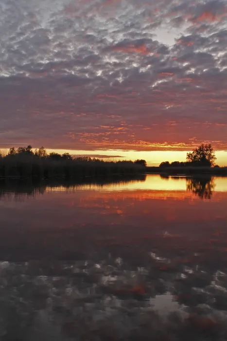 Framed Print : Clouds in the Sunset with River Reflection Print, Germany