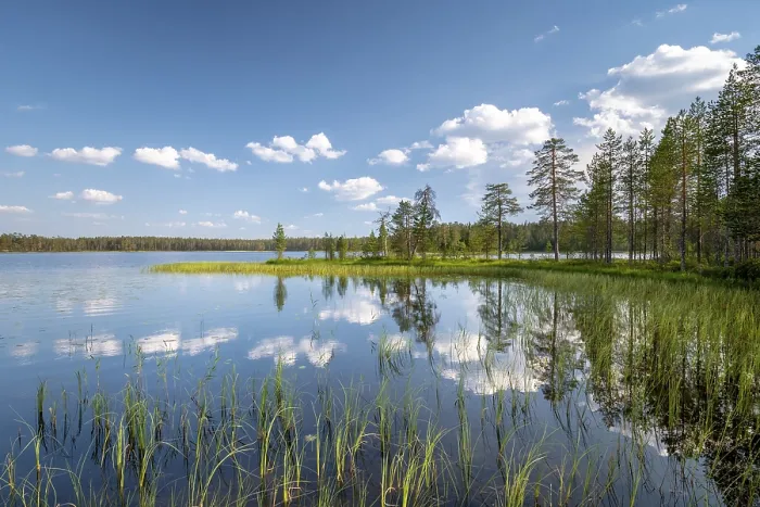 Framed Print : Clouds and Trees Reflected in the Lake Print, Finland Framed Print : Clouds and Trees Reflected in the Lake Print, Finland