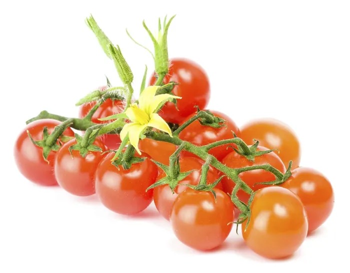 Framed Print : Cluster of cherry tomatoes on white Print Framed Print : Cluster of cherry tomatoes on white Print