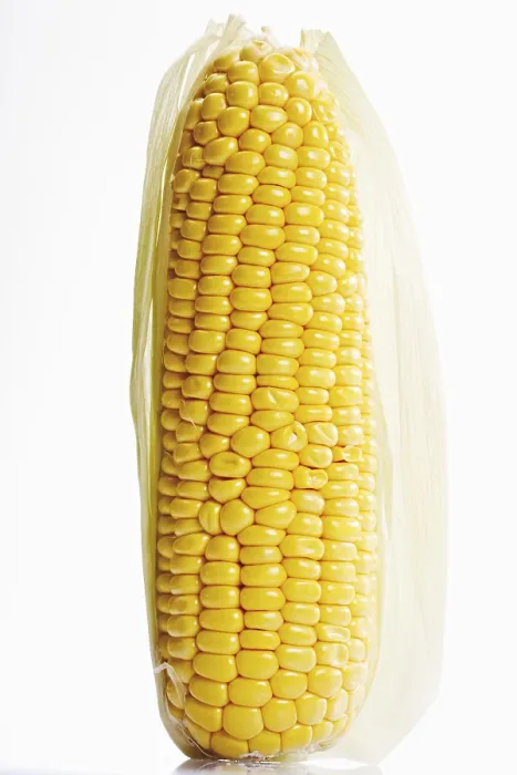 Framed Print : Print of Cob of Corn Framed Print : Print of Cob of Corn