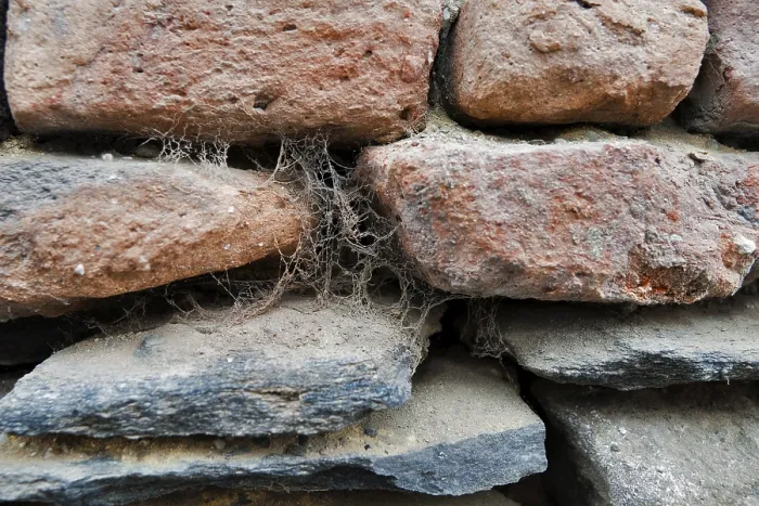 Framed Print : Cobwebs on a stone wall Print Framed Print : Cobwebs on a stone wall Print