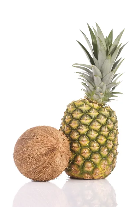 Framed Print : Coconut and Pineapple Print Framed Print : Coconut and Pineapple Print