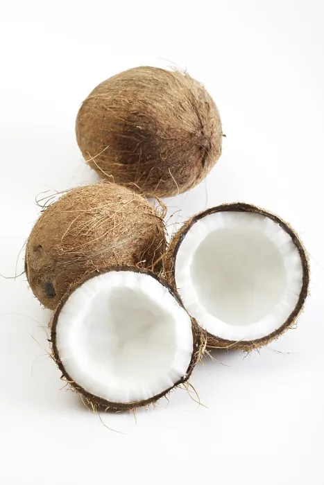 Framed Print : Coconuts and Palm Leaf Print Framed Print : Coconuts and Palm Leaf Print
