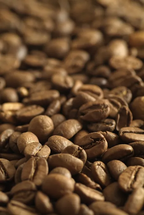Framed Print : Coffee Beans Print Framed Print : Coffee Beans Print