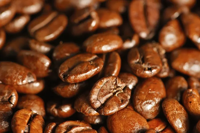 Framed Print : Coffee Beans Print - Roasted Coffee Bean Close-Up Framed Print : Coffee Beans Print - Roasted Coffee Bean Close-Up
