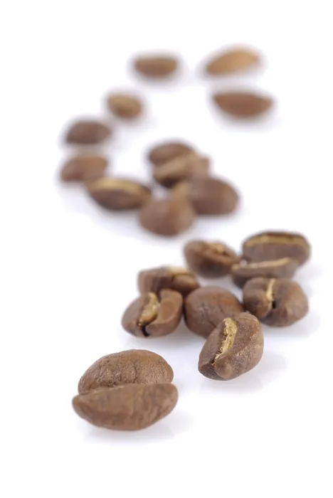 Framed Print : Coffee Beans Print Framed Print : Coffee Beans Print