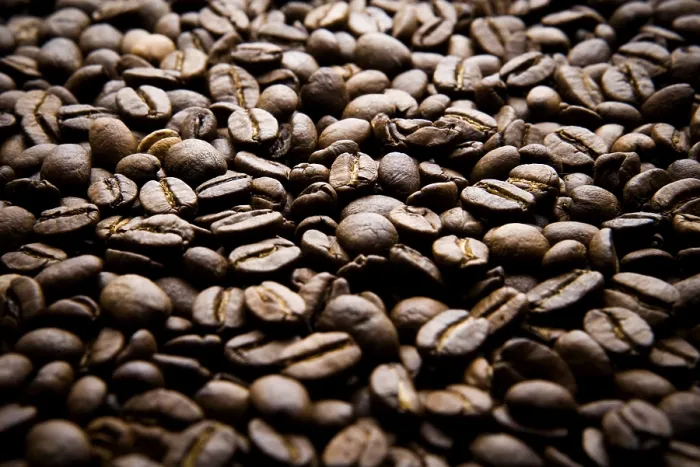 Framed Print : Coffee Beans Print Framed Print : Coffee Beans Print