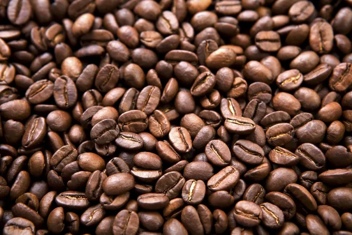 Framed Print : Coffee Beans Print Framed Print : Coffee Beans Print