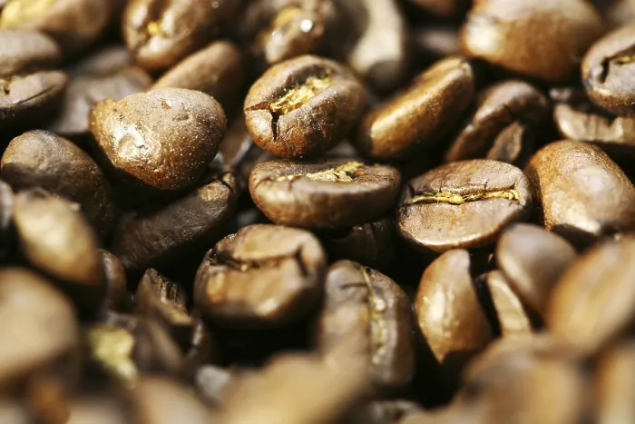 Framed Print : Coffee Beans Print Framed Print : Coffee Beans Print