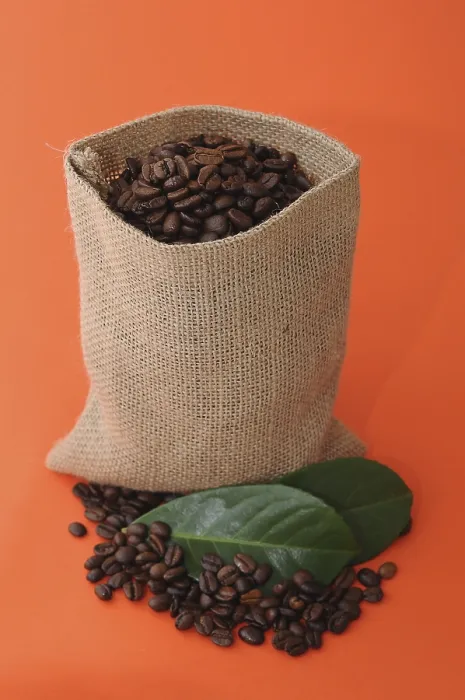 Framed Print : Coffee Beans in a Burlap Sack Print Framed Print : Coffee Beans in a Burlap Sack Print