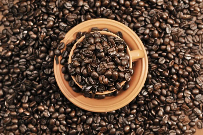 Framed Print : Coffee Beans Print in a Cup Framed Print : Coffee Beans Print in a Cup