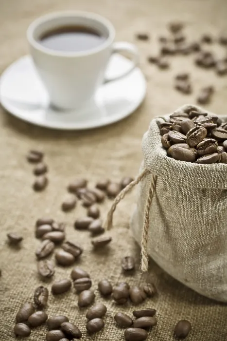 Framed Print : Coffee Bean Print Framed Print : Coffee Bean Print