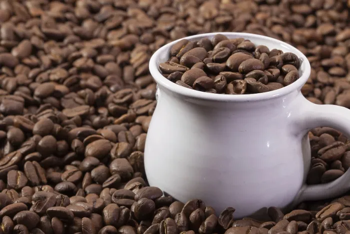 Framed Print : Coffee Beans and Cup Print Framed Print : Coffee Beans and Cup Print