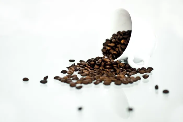 Framed Print : Coffee Beans Emerging from a White Cup Print Framed Print : Coffee Beans Emerging from a White Cup Print