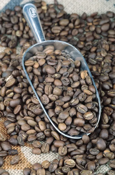 Framed Print : Coffee Beans in Scoop Print Framed Print : Coffee Beans in Scoop Print