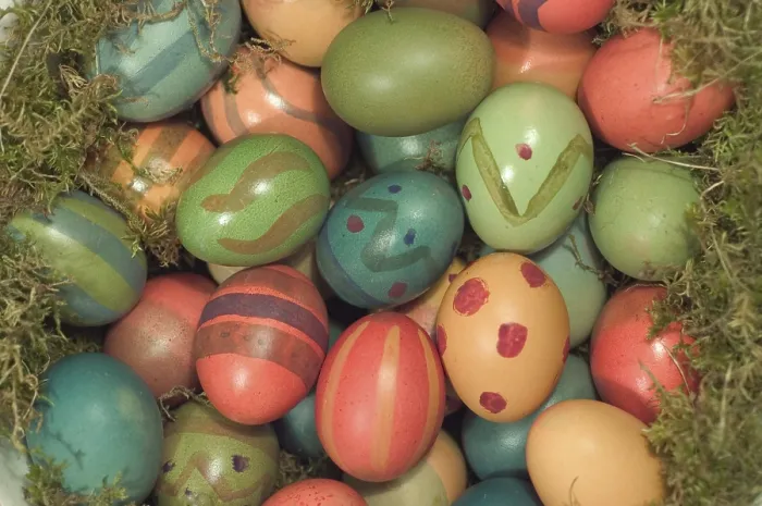 Framed Print : Coloured Easter Eggs in Moss Print Framed Print : Coloured Easter Eggs in Moss Print