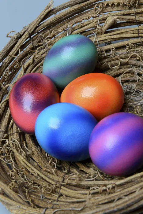 Framed Print : Coloured Eggs in Nest Shell Print Framed Print : Coloured Eggs in Nest Shell Print
