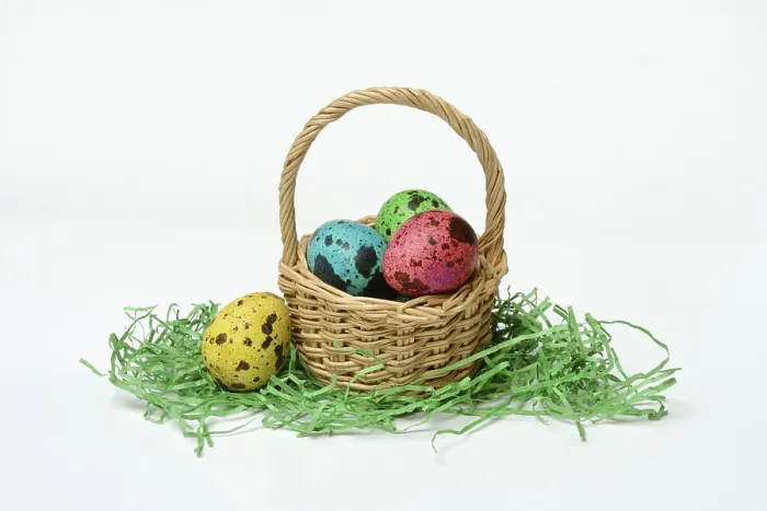 Framed Print : Coloured Quail Eggs in Baskets Print, Germany Framed Print : Coloured Quail Eggs in Baskets Print, Germany