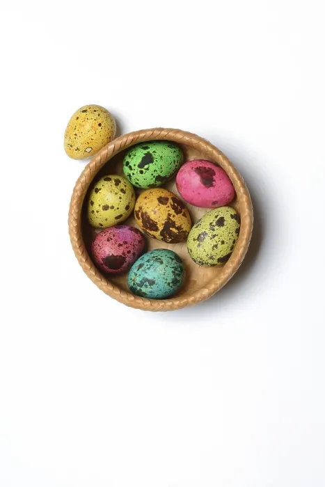Framed Print : Coloured Quail Eggs in Baskets Print, Easter Germany Framed Print : Coloured Quail Eggs in Baskets Print, Easter Germany