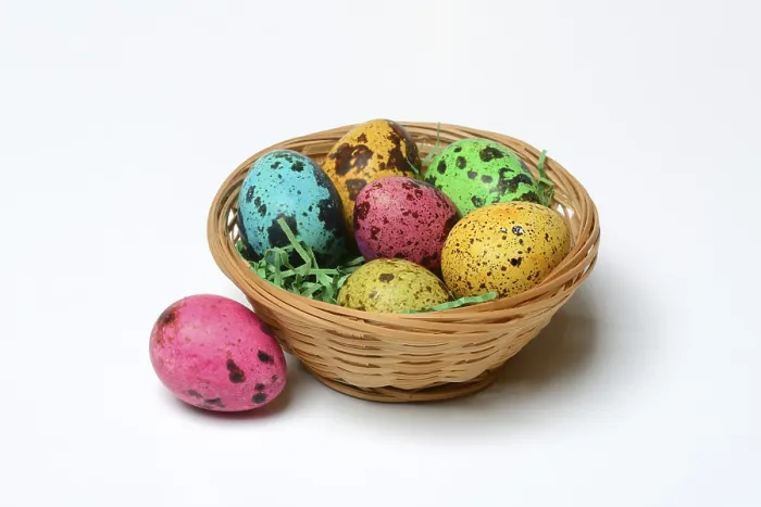 Framed Print : Coloured Quail Eggs in Baskets Print, Easter Eggs, Germany Framed Print : Coloured Quail Eggs in Baskets Print, Easter Eggs, Germany