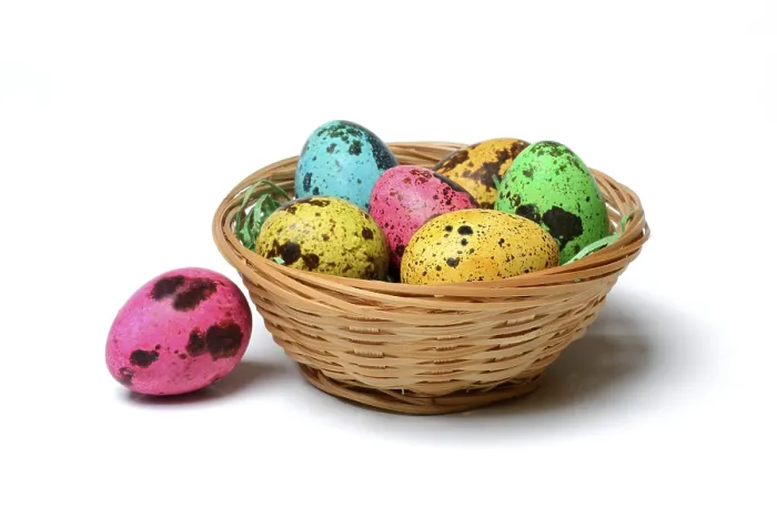 Framed Print : Coloured Quail Eggs in Baskets Print, Easter Germany Framed Print : Coloured Quail Eggs in Baskets Print, Easter Germany